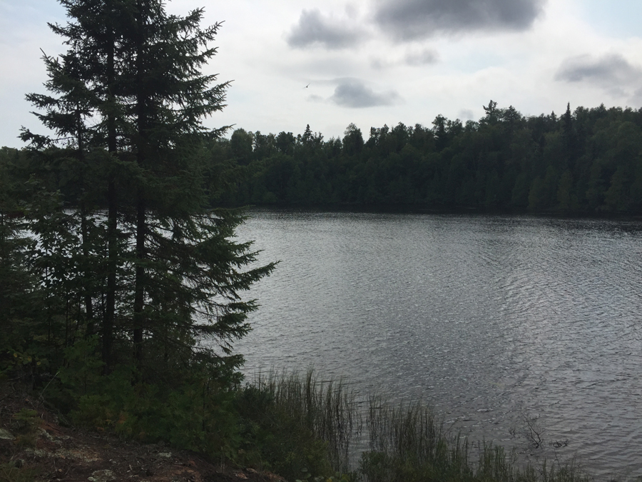Whale Lake Boundary Waters Canoe Area